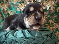 processed/9efc2ea0-c657-47aa-b891-65d4bb6c0312/listing/f3ee80aa-3afb-43a0-a1c3-e35760e26698/8d7a98ea-5273-4ea7-ba24-73242b5d79ff