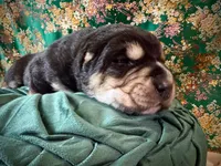 processed/9efc2ea0-c657-47aa-b891-65d4bb6c0312/listing/f3ee80aa-3afb-43a0-a1c3-e35760e26698/c575bfe1-7f14-437b-b0fd-b6d7a794c099