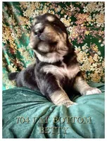 processed/9efc2ea0-c657-47aa-b891-65d4bb6c0312/listing/f3ee80aa-3afb-43a0-a1c3-e35760e26698/db83d8e7-84d3-43e8-9bf6-2ecd5ee36d83