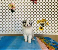 processed/9efe0207-19fc-4ccd-ad9a-3a2bbb49132e/listing/0b640f65-5260-462d-aba4-e89fe9d2352b/49f3b1e4-5762-4d11-bee7-fd2d68ba6937