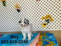 processed/9efe0207-19fc-4ccd-ad9a-3a2bbb49132e/listing/0b640f65-5260-462d-aba4-e89fe9d2352b/c2719de9-f5b6-4e66-901e-0207cdfe177e