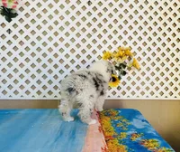 processed/9efe0207-19fc-4ccd-ad9a-3a2bbb49132e/listing/0b640f65-5260-462d-aba4-e89fe9d2352b/d1dd7467-0c11-4c41-af9f-e89ca24efd81