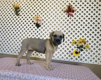 processed/9efe0207-19fc-4ccd-ad9a-3a2bbb49132e/listing/74d0a276-9ec5-450f-815e-35b4a9b5ba72/20875533-83ff-47cd-b3e9-778700ae670b