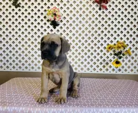 processed/9efe0207-19fc-4ccd-ad9a-3a2bbb49132e/listing/74d0a276-9ec5-450f-815e-35b4a9b5ba72/556891b4-55f5-4a87-ad36-f8418d7b9009