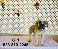 processed/9efe0207-19fc-4ccd-ad9a-3a2bbb49132e/listing/74d0a276-9ec5-450f-815e-35b4a9b5ba72/c1f8f35f-bed5-477c-a6a8-d945f25f4a91