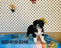 processed/9efe0207-19fc-4ccd-ad9a-3a2bbb49132e/listing/c52e434b-7c51-46d3-8942-b40bbf3e0b5b/b7d06799-2091-4f69-9b0e-eb20c11352d7