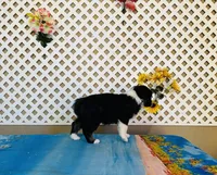 processed/9efe0207-19fc-4ccd-ad9a-3a2bbb49132e/listing/c52e434b-7c51-46d3-8942-b40bbf3e0b5b/c6c65292-f5bf-4f7a-82b7-24710d50ac80