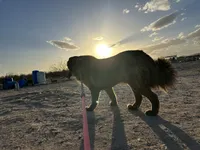 processed/9efe0207-19fc-4ccd-ad9a-3a2bbb49132e/listing/e3917a7f-994a-47cd-87c6-94f5a9a690c3/febaeb1a-38c3-441b-b083-2b4fd14dcafa