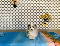 processed/9efe0207-19fc-4ccd-ad9a-3a2bbb49132e/listing/ea717c40-57d5-4860-a577-eaebb896281f/36a072a0-fad6-4d42-9ca7-043a866082f2