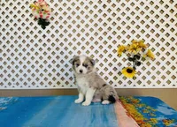 processed/9efe0207-19fc-4ccd-ad9a-3a2bbb49132e/listing/ea717c40-57d5-4860-a577-eaebb896281f/a14acc52-9580-488d-bc1d-5081a2703ee1