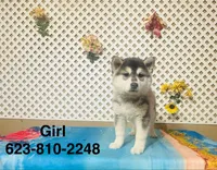 processed/9efe0207-19fc-4ccd-ad9a-3a2bbb49132e/listing/f77dd94d-9444-4d41-a9ad-86fc49ddf19d/77ac21c5-a8ad-4953-95d3-2d2ea64ff705