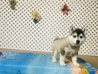 processed/9efe0207-19fc-4ccd-ad9a-3a2bbb49132e/listing/f77dd94d-9444-4d41-a9ad-86fc49ddf19d/ca36c1be-02ee-4957-a3b5-e1723c9ae097