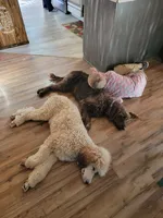 processed/9f02833d-74a2-44e5-b76f-436691c7315c/facility/da6c71c1-ed72-433f-8eaf-ee7e708fb162