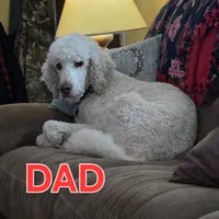 processed/9f02833d-74a2-44e5-b76f-436691c7315c/listing/27c7dc19-ebb5-4066-b375-a68360732901/05962497-6fe9-49ce-9447-c473000f0626