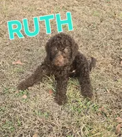 processed/9f02833d-74a2-44e5-b76f-436691c7315c/listing/27c7dc19-ebb5-4066-b375-a68360732901/07c4214e-84a2-4e0a-a73f-56479234522a