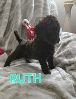 processed/9f02833d-74a2-44e5-b76f-436691c7315c/listing/27c7dc19-ebb5-4066-b375-a68360732901/56008b62-d6f8-4877-9eae-badb3e464d22