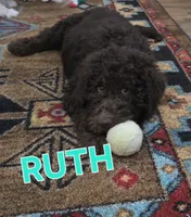 processed/9f02833d-74a2-44e5-b76f-436691c7315c/listing/27c7dc19-ebb5-4066-b375-a68360732901/a83ed591-5efb-408c-bdeb-f171ddd0b5bf