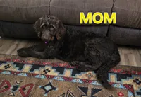 processed/9f02833d-74a2-44e5-b76f-436691c7315c/listing/27c7dc19-ebb5-4066-b375-a68360732901/d82fce92-8a9f-4ea2-adec-6912ad00eb37