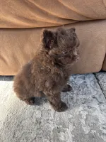 processed/9f06e989-0017-413f-a19e-f6660714946b/listing/52bba626-cf28-4524-82b3-ad494362561e/133ef10e-d598-4bc6-b030-277de6f2bad6