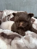 processed/9f06e989-0017-413f-a19e-f6660714946b/listing/52bba626-cf28-4524-82b3-ad494362561e/3a186276-1bd0-4ee3-8e1d-ed8d2da88bc6