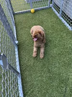 processed/9f06e989-0017-413f-a19e-f6660714946b/listing/52bba626-cf28-4524-82b3-ad494362561e/8c4a2d98-b430-43f4-b4fe-7c7cceba20dc