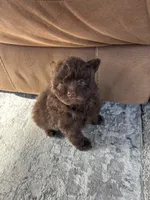 processed/9f06e989-0017-413f-a19e-f6660714946b/listing/52bba626-cf28-4524-82b3-ad494362561e/9c342606-5592-4571-ae9e-e1428a6dd586