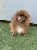 processed/9f06e989-0017-413f-a19e-f6660714946b/listing/52bba626-cf28-4524-82b3-ad494362561e/ae5b68c5-e0da-4009-a79d-1d21653c2abf