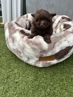 processed/9f06e989-0017-413f-a19e-f6660714946b/listing/52bba626-cf28-4524-82b3-ad494362561e/b003be7f-c545-44ec-aeb8-1d465843b50f