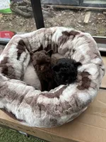 processed/9f06e989-0017-413f-a19e-f6660714946b/listing/52bba626-cf28-4524-82b3-ad494362561e/c39e6b2f-d1a1-4ed3-b221-ab46afd55a63