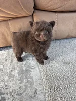 processed/9f06e989-0017-413f-a19e-f6660714946b/listing/52bba626-cf28-4524-82b3-ad494362561e/c794d530-e9fa-4412-b131-a0a7ba92fc9a