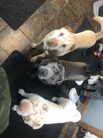 processed/9f0f9442-3f28-4aa1-84a5-8fa672f3e4b5/facility/7fd58f60-51dc-46c1-9a26-8aa89229382a