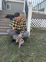 Winnie, a female French Bulldog for sale in Riverside Township, NJ – Photo 8 of 8