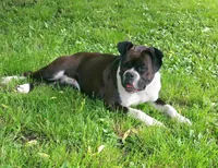 processed/9f2e0722-0c1f-4add-bddb-3501188c7d6e/facility/08f58632-7b00-4f84-afdb-f35d72820971