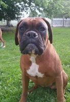 processed/9f2e0722-0c1f-4add-bddb-3501188c7d6e/facility/13ec7267-232e-4370-96d5-5d8c948975ed