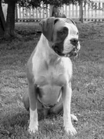 processed/9f2e0722-0c1f-4add-bddb-3501188c7d6e/facility/2d307ac4-041a-466f-bf4c-ee328164581a