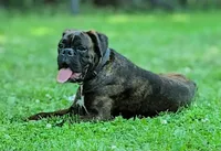 processed/9f2e0722-0c1f-4add-bddb-3501188c7d6e/facility/6cd07401-3b79-4c8b-98b1-c0b03f34ded1