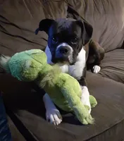 processed/9f2e0722-0c1f-4add-bddb-3501188c7d6e/facility/8ed82ae3-93ab-4406-898b-90832a139872