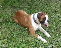 processed/9f2e0722-0c1f-4add-bddb-3501188c7d6e/facility/a8528aa4-05ea-4b77-8898-a86af4d6099f