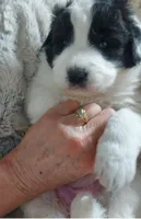 processed/9f306348-78e7-40d0-b602-4bb88cbb7d0f/listing/1c80b8dd-52f4-43ac-8edd-b76466530288/fb33eeb0-e71b-483e-bb51-3a4fc07b0447