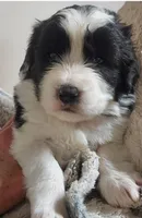 processed/9f306348-78e7-40d0-b602-4bb88cbb7d0f/listing/813e46da-32f7-4875-94b0-c9758b3adc29/c11b215a-3985-40c4-ac22-35ec8461e435