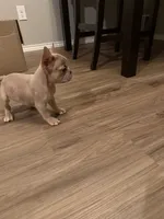 processed/9f358ae3-9eeb-4c0c-ab01-3892d681e059/listing/0d30d0bf-b397-4983-ad9b-734a37d5860f/ececc429-a5a2-4f27-9c1c-864190a1d19b