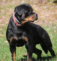 processed/9f3870f2-c6dc-49e9-9782-644479de6a38/facility/101217b5-34aa-4e4d-9f33-5079a7c18c57