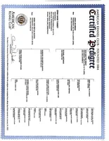 processed/9f3870f2-c6dc-49e9-9782-644479de6a38/facility/3f727564-a295-4ddf-bc98-60df7cf6d691