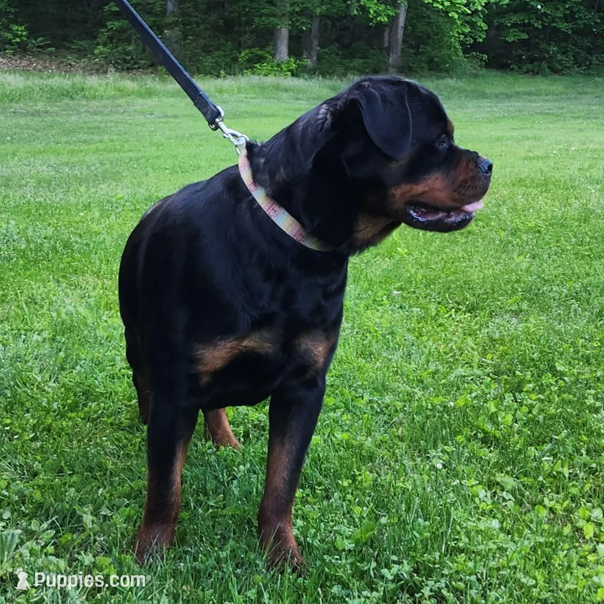 processed/9f3870f2-c6dc-49e9-9782-644479de6a38/facility/90696105-e868-4904-97ca-947ed9d2a93c