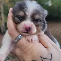 processed/9f3a4937-d8b9-42dd-bc8f-fbdea533ceac/facility/1ee23646-7ac4-486e-b07c-dcf23e35bd12