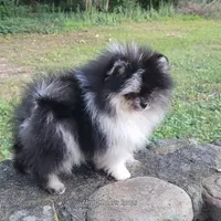 processed/9f3a4937-d8b9-42dd-bc8f-fbdea533ceac/facility/35ce3cc5-f911-40b7-8ba6-87318dbab5f5