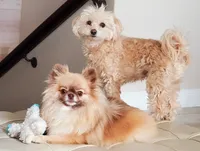 processed/9f3a4937-d8b9-42dd-bc8f-fbdea533ceac/facility/67bb9b5d-733a-4060-818e-7cdfc4b943a2