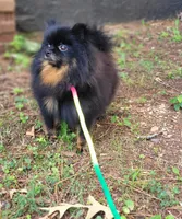 processed/9f3a4937-d8b9-42dd-bc8f-fbdea533ceac/facility/95a9c513-d831-4007-8ec1-20ae8a7866ca