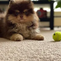 processed/9f3a4937-d8b9-42dd-bc8f-fbdea533ceac/facility/c139524c-327c-463b-a6d0-625d6369f230