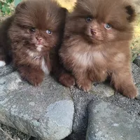 processed/9f3a4937-d8b9-42dd-bc8f-fbdea533ceac/facility/de434cc4-c564-4738-bdf4-fcfe05e33cd3